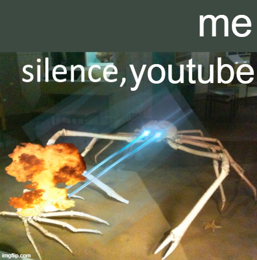 Silence Crab | me; youtube | image tagged in silence crab | made w/ Imgflip meme maker