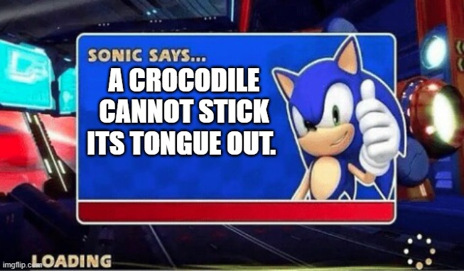 A cool fact with sonic | A CROCODILE CANNOT STICK ITS TONGUE OUT. | image tagged in sonic says | made w/ Imgflip meme maker