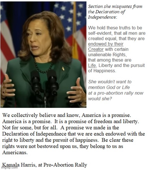 Veep Thoughts #30 | image tagged in kamala harris,declaration of independence | made w/ Imgflip meme maker