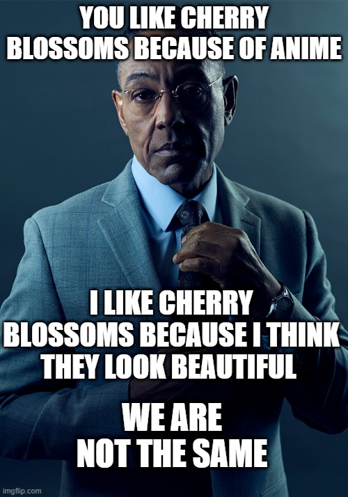 I don't watch anime but people say i like cherry blossoms because of anime | YOU LIKE CHERRY BLOSSOMS BECAUSE OF ANIME; I LIKE CHERRY BLOSSOMS BECAUSE I THINK THEY LOOK BEAUTIFUL; WE ARE NOT THE SAME | image tagged in we are not the same | made w/ Imgflip meme maker