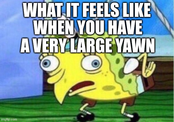 *YAWWWWWWWWWWWWWWWWWWWWWWWWWWWWWWWWWN* | WHAT IT FEELS LIKE; WHEN YOU HAVE A VERY LARGE YAWN | image tagged in memes,mocking spongebob | made w/ Imgflip meme maker