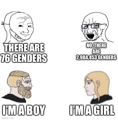 There are only 2 genders | THERE ARE 76 GENDERS; NO, THERE ARE 2,984,453 GENDERS; I’M A GIRL; I’M A BOY | image tagged in chad we know,gender,2 genders,twitter | made w/ Imgflip meme maker