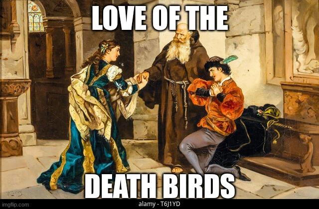 LOVE OF THE; DEATH BIRDS | image tagged in romeo and juliet | made w/ Imgflip meme maker
