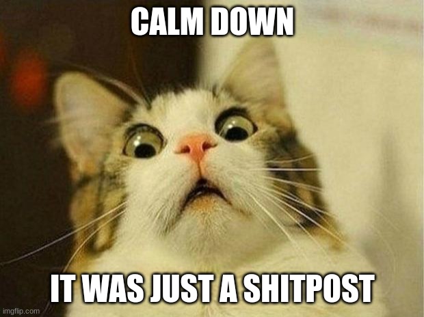 Scared Cat Meme | CALM DOWN IT WAS JUST A SHITPOST | image tagged in memes,scared cat | made w/ Imgflip meme maker