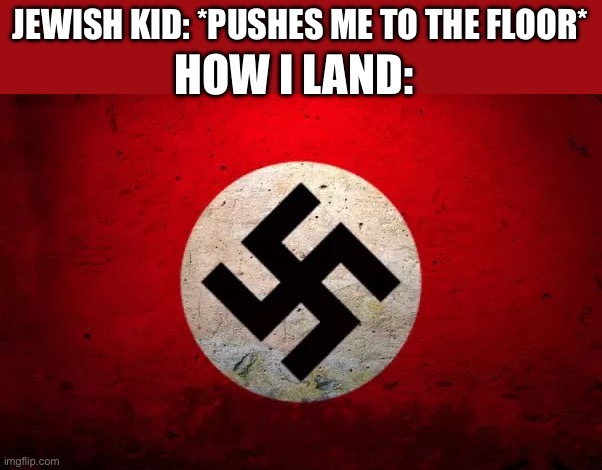 Hehe boi | JEWISH KID: *PUSHES ME TO THE FLOOR*; HOW I LAND: | image tagged in nazi symbol | made w/ Imgflip meme maker