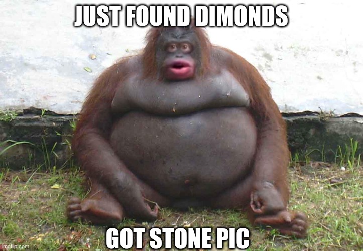 uh oh stinky | JUST FOUND DIMONDS; GOT STONE PIC | image tagged in uh oh stinky | made w/ Imgflip meme maker