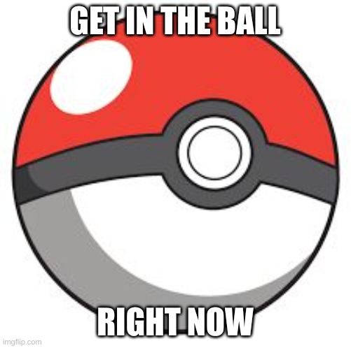 Pokeball | GET IN THE BALL RIGHT NOW | image tagged in pokeball | made w/ Imgflip meme maker
