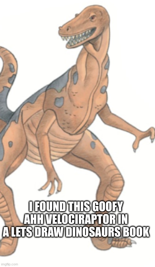 They did him dirty | I FOUND THIS GOOFY AHH VELOCIRAPTOR IN A LETS DRAW DINOSAURS BOOK | image tagged in dino,dinosaur | made w/ Imgflip meme maker
