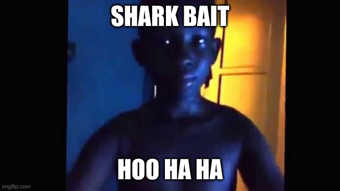 comment your fav number | SHARK BAIT; HOO HA HA | image tagged in 21 kid | made w/ Imgflip meme maker