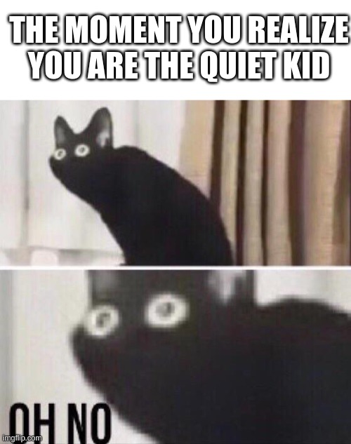Sad but true | THE MOMENT YOU REALIZE YOU ARE THE QUIET KID | image tagged in blank white template,oh no cat,quiet kid,relatable | made w/ Imgflip meme maker