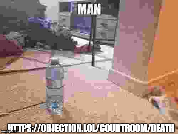 https://objection.lol/courtroom/death | HTTPS://OBJECTION.LOL/COURTROOM/DEATH | image tagged in man | made w/ Imgflip meme maker