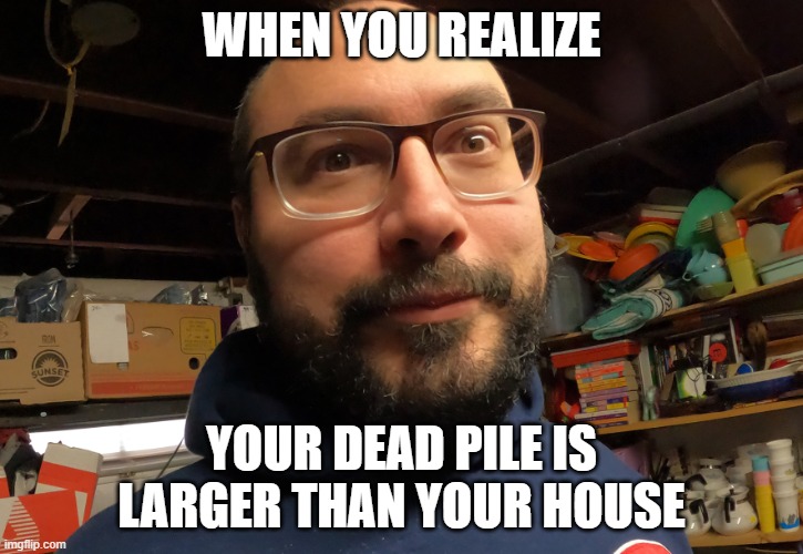 Flipper | WHEN YOU REALIZE; YOUR DEAD PILE IS LARGER THAN YOUR HOUSE | image tagged in suprised | made w/ Imgflip meme maker