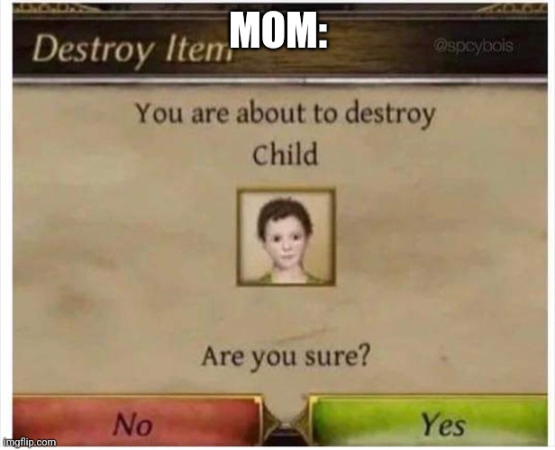 You are about to destroy Child | MOM: | image tagged in you are about to destroy child | made w/ Imgflip meme maker