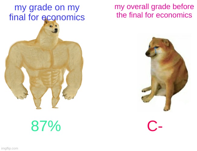 I smart | my grade on my final for economics; my overall grade before the final for economics; 87%; C- | image tagged in memes,buff doge vs cheems | made w/ Imgflip meme maker