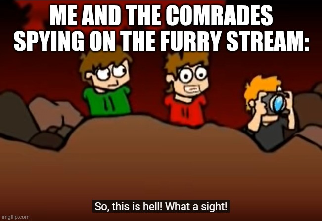 Huh. | ME AND THE COMRADES SPYING ON THE FURRY STREAM: | image tagged in so this is hell | made w/ Imgflip meme maker