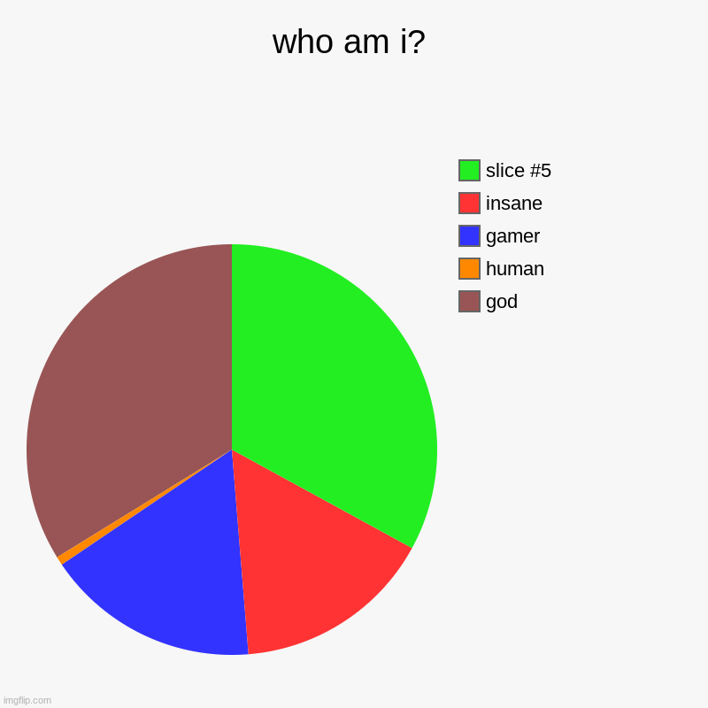 who? | who am i? | god, human, gamer, insane | image tagged in charts,pie charts,me | made w/ Imgflip chart maker