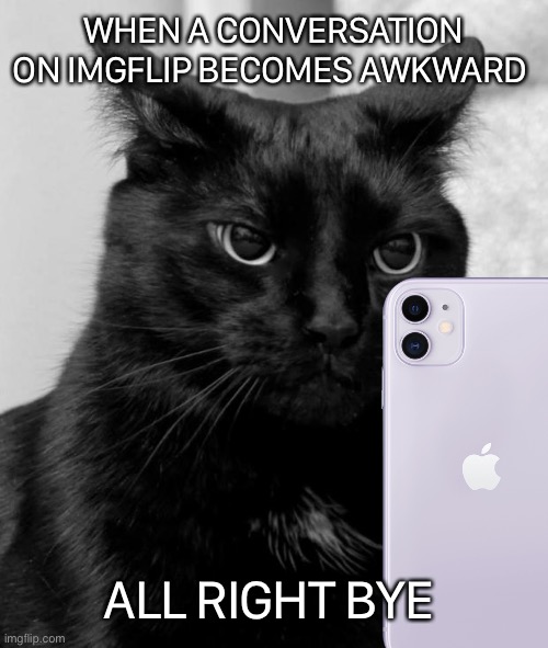 WHEN A CONVERSATION ON IMGFLIP BECOMES AWKWARD; ALL RIGHT BYE | image tagged in imgflip | made w/ Imgflip meme maker