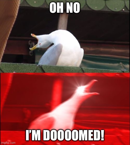 screaming seagull | OH NO I’M DOOOOMED! | image tagged in screaming seagull | made w/ Imgflip meme maker