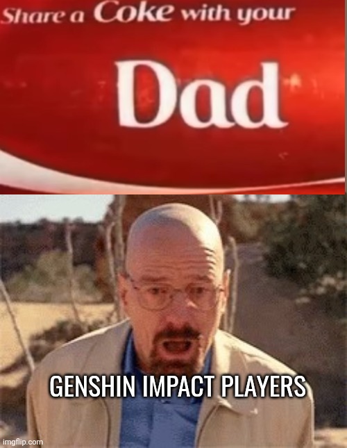 Fatherless | GENSHIN IMPACT PLAYERS | image tagged in walter white | made w/ Imgflip meme maker