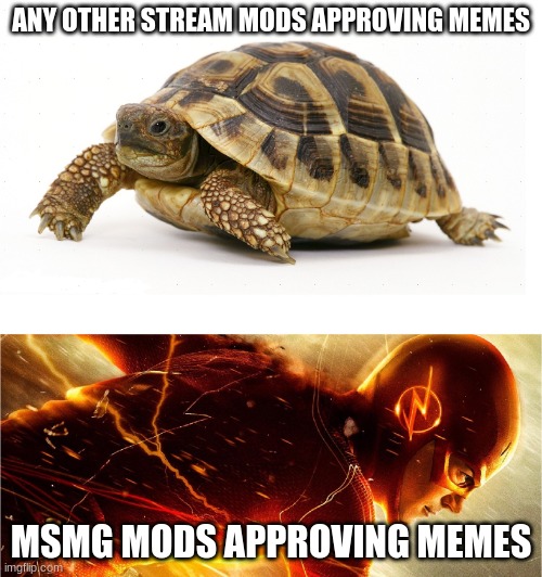 this is very unfunny and un-original and i was bored | ANY OTHER STREAM MODS APPROVING MEMES; MSMG MODS APPROVING MEMES | image tagged in slow vs fast meme | made w/ Imgflip meme maker