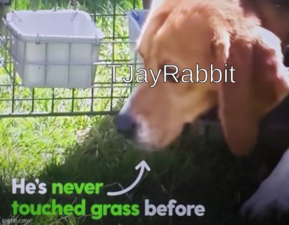 He's never touched grass before | TJayRabbit | image tagged in he's never touched grass before | made w/ Imgflip meme maker