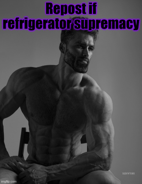 Giga Chad | Repost if refrigerator supremacy | image tagged in giga chad | made w/ Imgflip meme maker