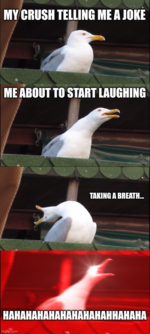 Inhaling Seagull | MY CRUSH TELLING ME A JOKE; ME ABOUT TO START LAUGHING; TAKING A BREATH... HAHAHAHAHAHAHAHAHAHHAHAHA | image tagged in memes,inhaling seagull | made w/ Imgflip meme maker