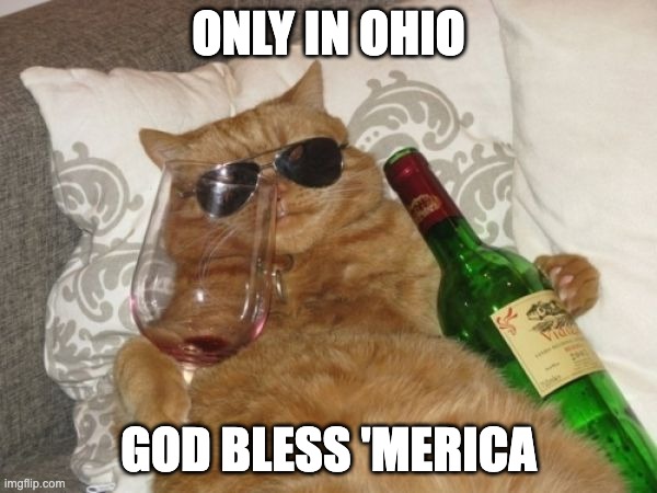 Wine Cat Birthday | ONLY IN OHIO; GOD BLESS 'MERICA | image tagged in wine cat birthday | made w/ Imgflip meme maker