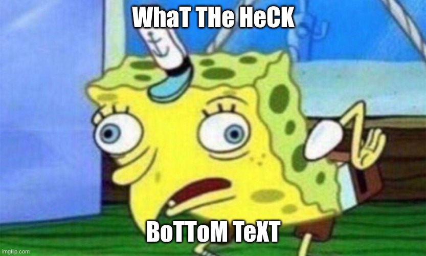 spongebob stupid | WhaT THe HeCK BoTToM TeXT | image tagged in spongebob stupid | made w/ Imgflip meme maker