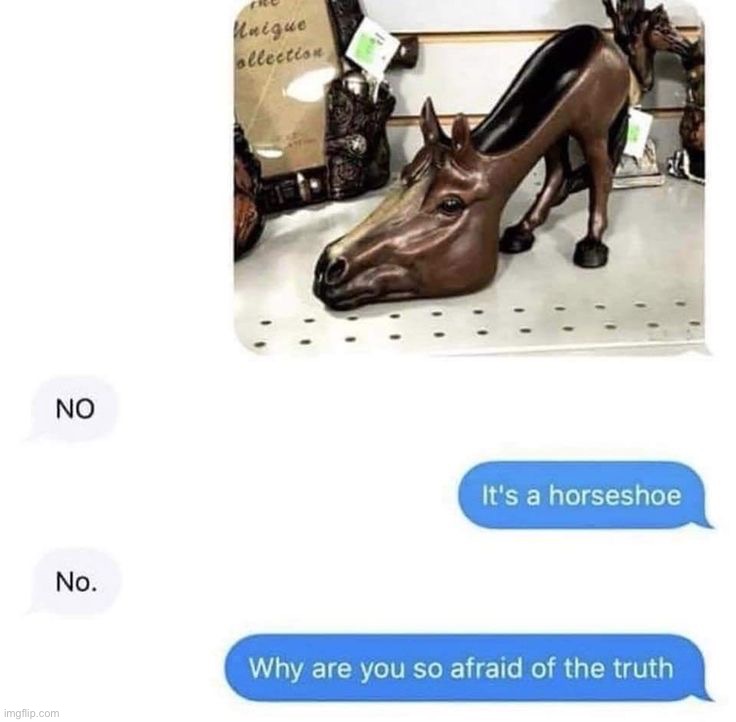 Horse shoe | image tagged in memes,funny,cursed image | made w/ Imgflip meme maker