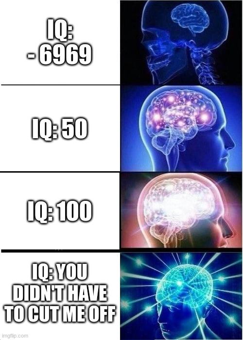 IQ evolution | IQ: - 6969; IQ: 50; IQ: 100; IQ: YOU DIDN'T HAVE TO CUT ME OFF | image tagged in memes,expanding brain | made w/ Imgflip meme maker