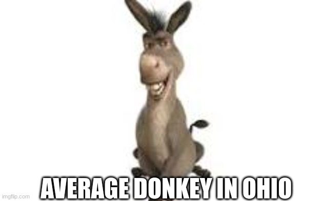 Ohio donkeys | AVERAGE DONKEY IN OHIO | image tagged in donkey | made w/ Imgflip meme maker