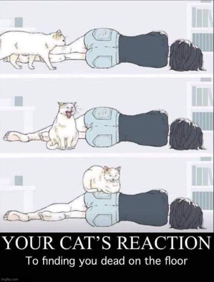 image tagged in dark humor | made w/ Imgflip meme maker