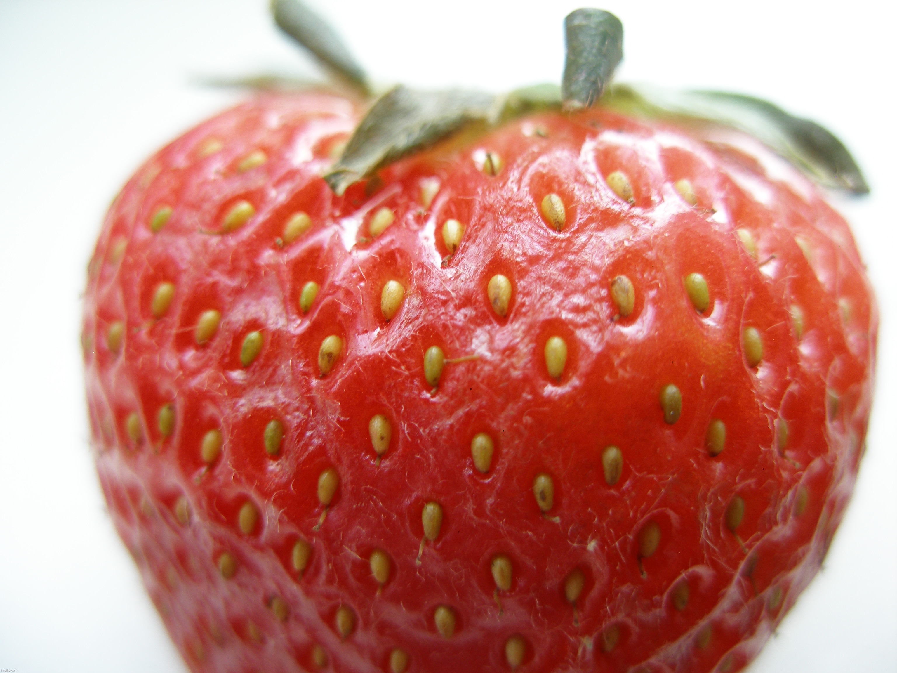 A macro photo of a strawberry | image tagged in share your own photos | made w/ Imgflip meme maker