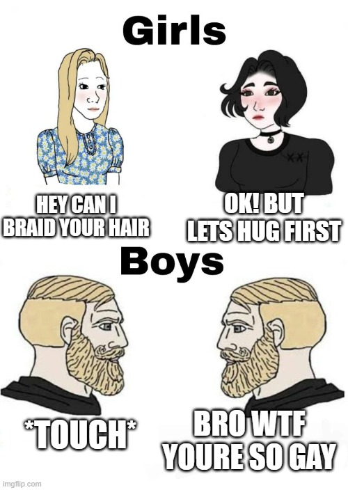 Meme #357 |  OK! BUT LETS HUG FIRST; HEY CAN I BRAID YOUR HAIR; BRO WTF YOURE SO GAY; *TOUCH* | image tagged in boys v girls,touch,girls vs boys,boys,girls,memes | made w/ Imgflip meme maker