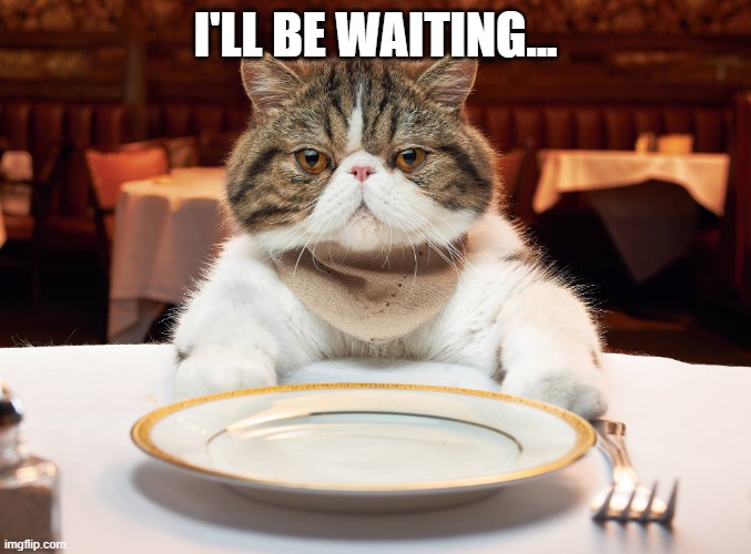 hungry cat | I'LL BE WAITING... | image tagged in hungry cat | made w/ Imgflip meme maker