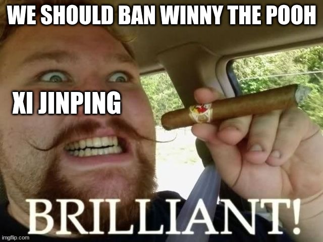 brilliant! | WE SHOULD BAN WINNY THE POOH; XI JINPING | image tagged in brilliant | made w/ Imgflip meme maker