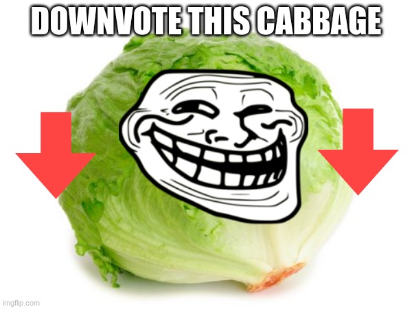 DOWNVOTE THIS CABBAGE!!! | DOWNVOTE THIS CABBAGE | image tagged in picture of food,downvote begging | made w/ Imgflip meme maker