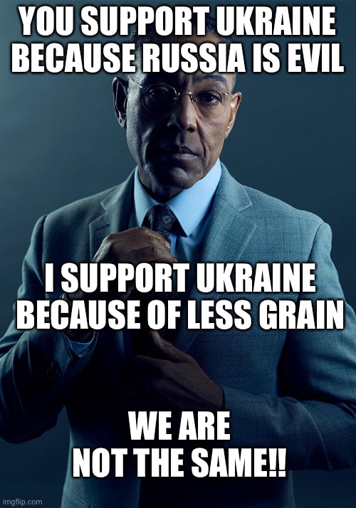 Gus Fring we are not the same | YOU SUPPORT UKRAINE BECAUSE RUSSIA IS EVIL; I SUPPORT UKRAINE BECAUSE OF LESS GRAIN; WE ARE NOT THE SAME!! | image tagged in gus fring we are not the same | made w/ Imgflip meme maker