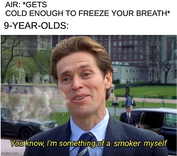 Seriously, though.... I used to do this as a kid, apparently it remains popular. | AIR: *GETS COLD ENOUGH TO FREEZE YOUR BREATH*; 9-YEAR-OLDS:; smoker | image tagged in you know i'm something of a _ myself,smoker,9 year ols,memes,relatable,usa_patriot76 | made w/ Imgflip meme maker