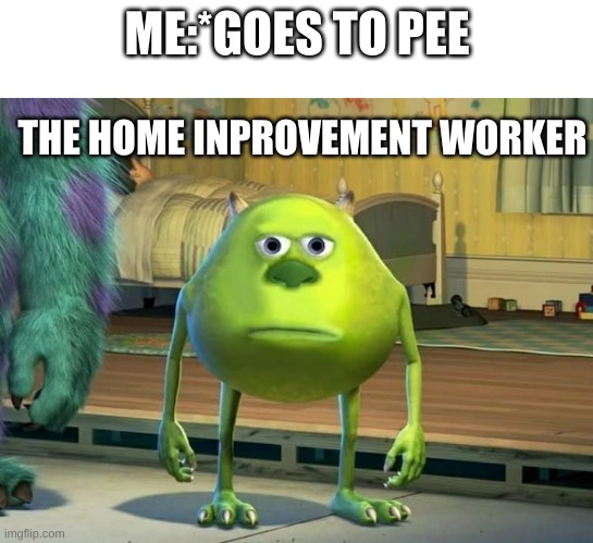 Mike Wazowski Bruh | ME:*GOES TO PEE; THE HOME INPROVEMENT WORKER | image tagged in mike wazowski bruh | made w/ Imgflip meme maker
