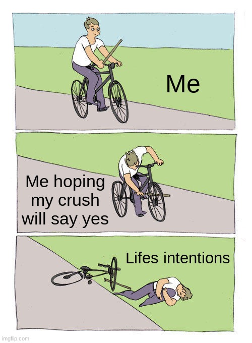 Bike Fall | Me; Me hoping my crush will say yes; Lifes intentions | image tagged in memes,bike fall | made w/ Imgflip meme maker