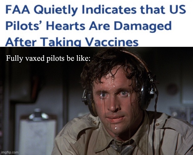Should have just eaten the fish |  Fully vaxed pilots be like: | image tagged in airplane sweating,politics lol,memes | made w/ Imgflip meme maker
