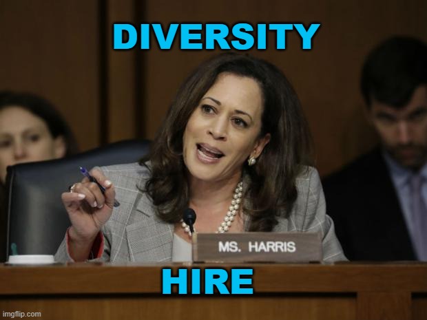 Diversity Hire | DIVERSITY; HIRE | image tagged in kamala harris | made w/ Imgflip meme maker