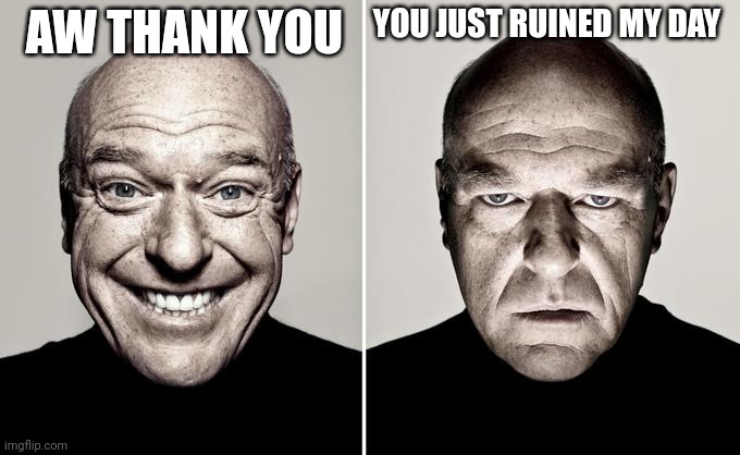 Dean Norris reaction | AW THANK YOU YOU JUST RUINED MY DAY | image tagged in dean norris reaction | made w/ Imgflip meme maker