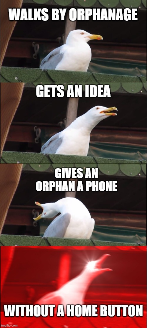 It's cursed, I know, but my friend told me to put it on here. | WALKS BY ORPHANAGE; GETS AN IDEA; GIVES AN ORPHAN A PHONE; WITHOUT A HOME BUTTON | image tagged in memes,inhaling seagull | made w/ Imgflip meme maker