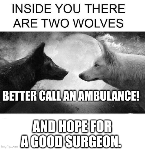 Inside you there are two wolves | BETTER CALL AN AMBULANCE! AND HOPE FOR A GOOD SURGEON. | image tagged in inside you there are two wolves | made w/ Imgflip meme maker