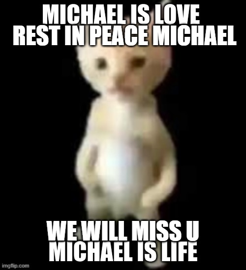 rest in peace michael | REST IN PEACE MICHAEL; WE WILL MISS U | image tagged in michael | made w/ Imgflip meme maker