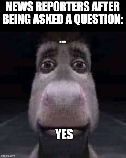 Donkey staring | NEWS REPORTERS AFTER BEING ASKED A QUESTION:; ... YES | image tagged in donkey staring | made w/ Imgflip meme maker