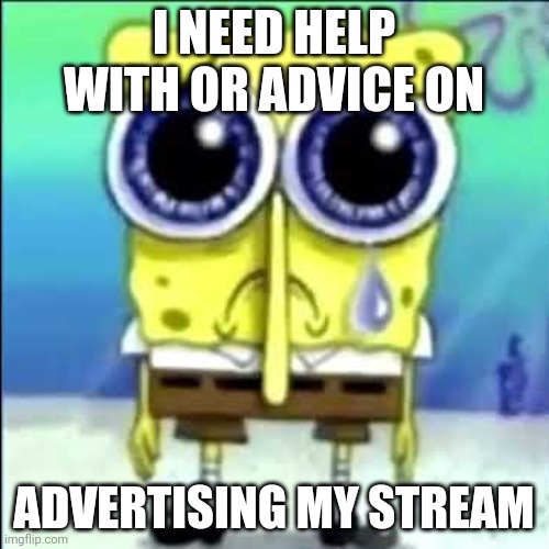 Please? | I NEED HELP WITH OR ADVICE ON; ADVERTISING MY STREAM | image tagged in sad spongebob | made w/ Imgflip meme maker